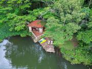 La Perezosa en Cerro Azul - Somos Pet friendly