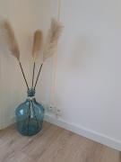 Top Balaruc-les-Bains