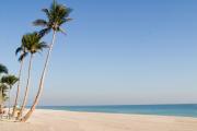 Top Fort Lauderdale