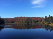Top Sault Ste. Marie Top Sault Ste. Marie