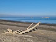 Top Lido delle Nazioni