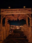 flamingo camp