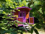 Top Chantenay-Villedieu