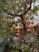 Top Playa del Carmen