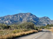 Top Alfara de Carles