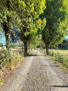 Top Ñilque Top Ñilque