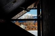 Hakuba Pension & Log Hotel Meteor Hakuba Pension & Log Hotel Meteor