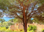 Top Torre delle Stelle