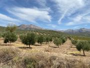 Top Villanueva del Trabuco