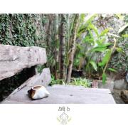 Top Hua Hin