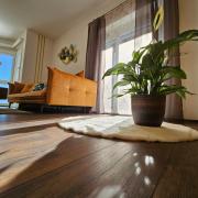 Ferienwohnung Blick ins Grüne