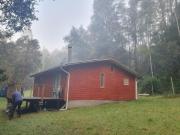 Top Valdivia Top Valdivia