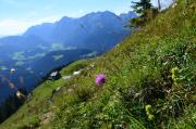 Top Sankt Martin am Tennengebirge