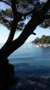 Top Rapallo