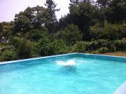 Top Penafiel Top Penafiel