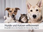 Top Steinberg Top Steinberg