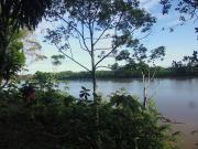 Tambopata River