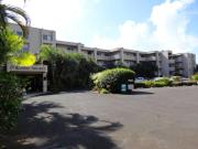 Top Koloa