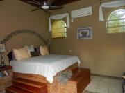 Top Crooked Tree Top Crooked Tree