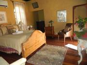 Top Crooked Tree Top Crooked Tree