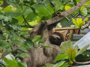 Brisas del Caribe,Apartamento