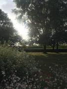 Top Saint-Nicolas-du-Bosc