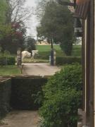 Top Saint-Nicolas-du-Bosc