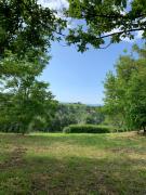 Top Calvi dellʼ Umbria