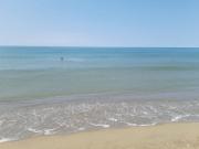 Top Follonica