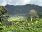 CORAÇÃO DO ALTO CHALES