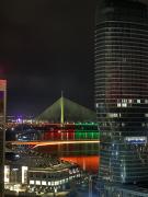 Belgrade Waterfront Wolf