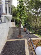 Top Vagamon
