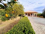 Villa del Mandorlo Villa del Mandorlo