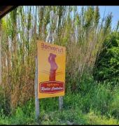 Top Bisaccia