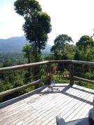 Casa no morro do Itamambuca com vista incrível