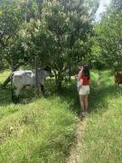 Top Salento