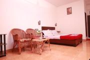 Rays Inn Thekkady
