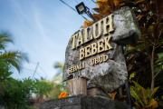 Top Ubud