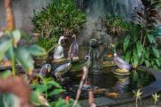 Top Ubud