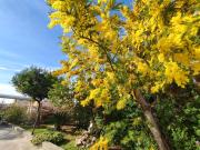 Top Santa Maria La Carità