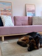 Top Krynica-Zdrój Top Krynica-Zdrój