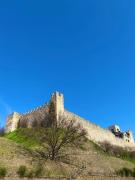 Top Padenghe sul Garda Top Padenghe sul Garda