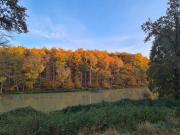 Top Mareuil-sur-Cher