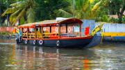 Top Alleppey