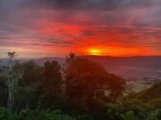 Top Beechmont