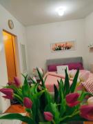 Top Banja Koviljača