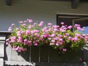 Top Mayrhofen