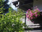 Top Mayrhofen