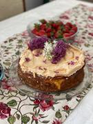 Top Krynica-Zdrój Top Krynica-Zdrój