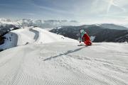 Top Leogang